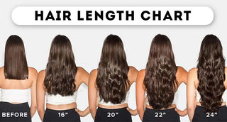 Hair length chart